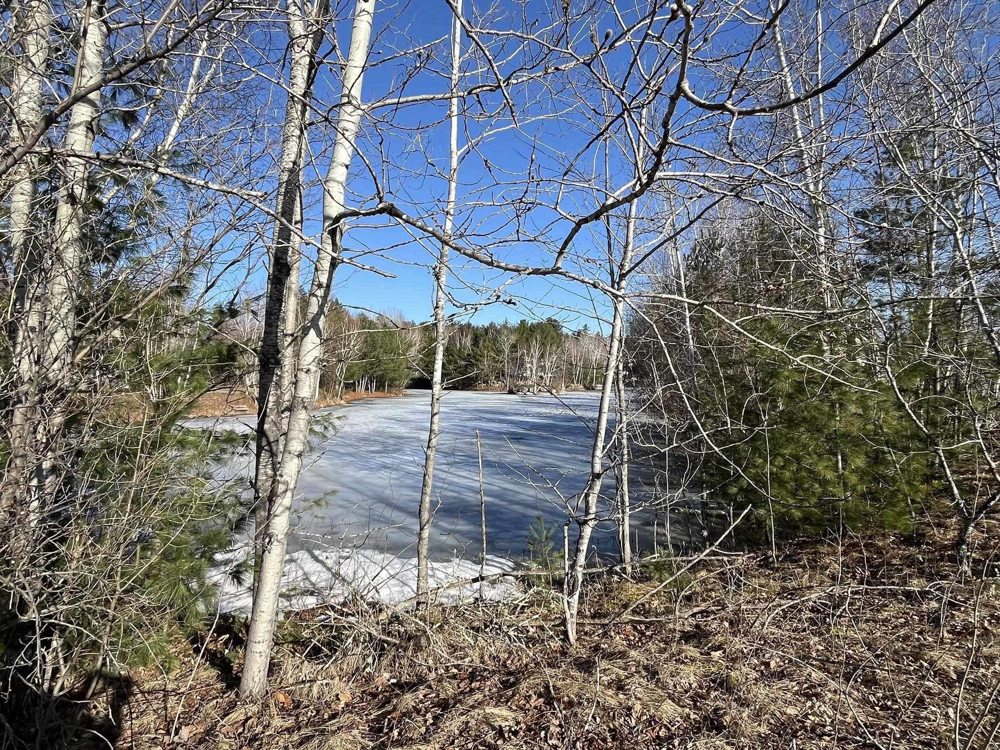 16 Hackberry Lane Laconia, NH 03246 - Photo 6 of 15