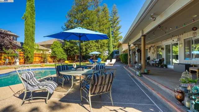 a view of a yard with plants
