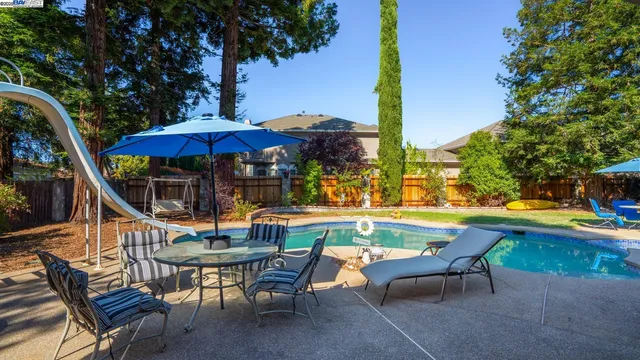 a view of a yard with plants and trees