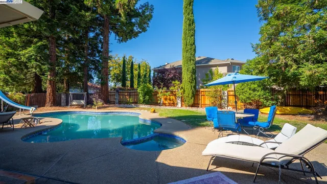a view of a backyard with plants