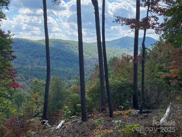 a view of a porch with a tree
