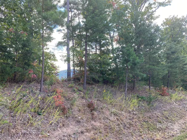a view of a lake from a yard