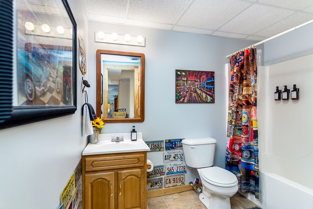 174 Seneca Way Ellijay, GA 30540 - Photo 27 of 36 a bathroom with a sink a toilet and a shower