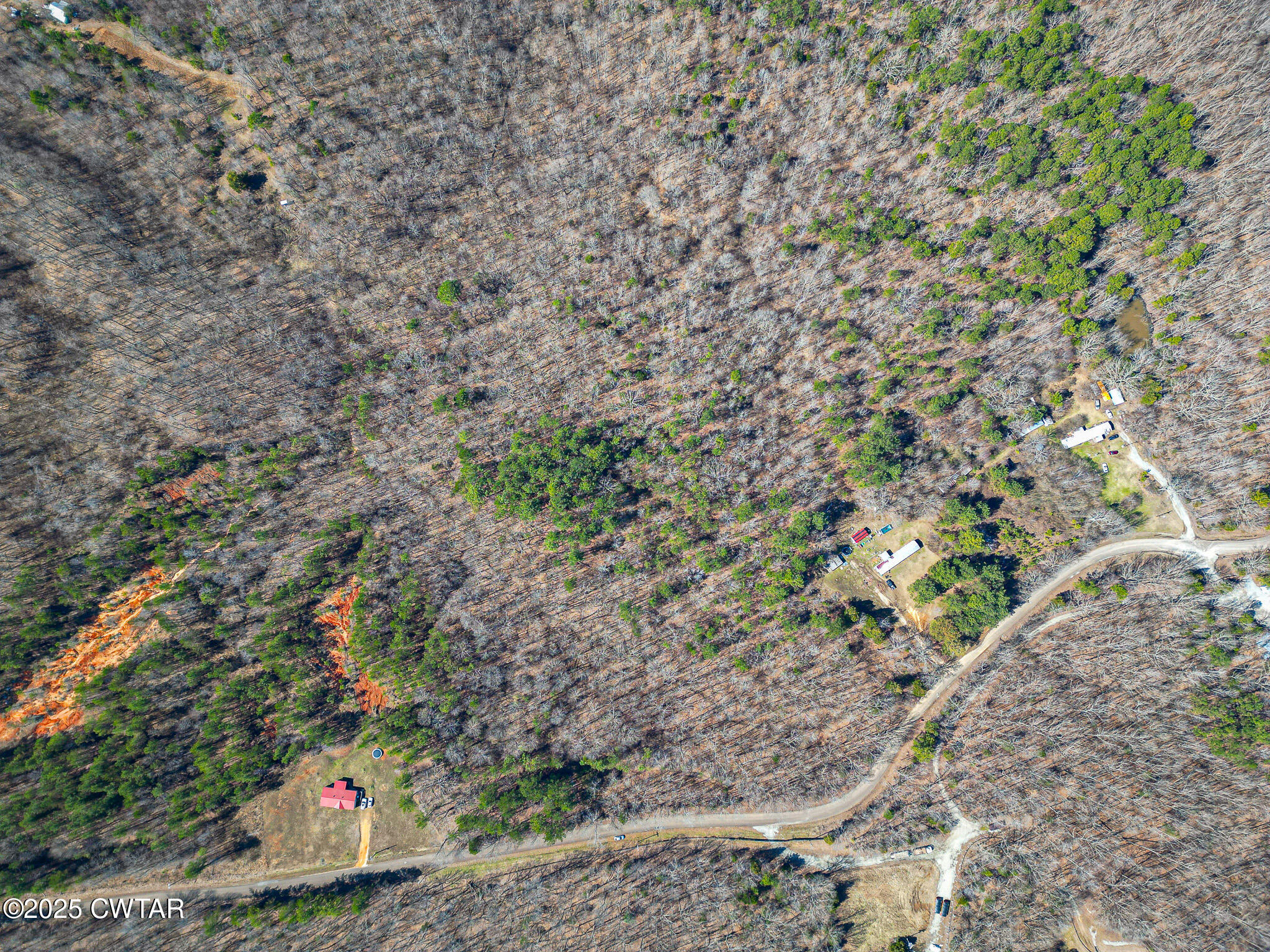 0 Old Toone Road Medon, TN 38356 - Photo 3 of 4 a view of a yard with plants and tree
