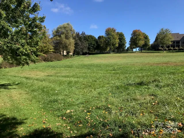 a garden with trees in the background