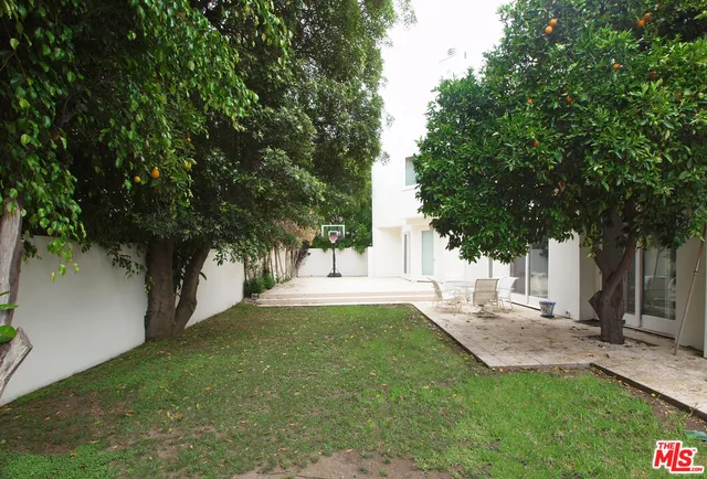 a view of a yard with plants and trees