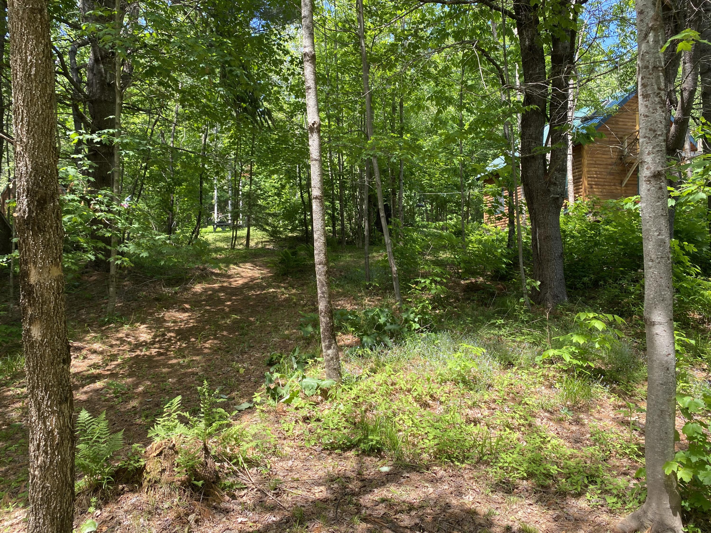 35 Leeman Road Abbot, ME 04406 - Photo 32 of 52 Great Property to Explore