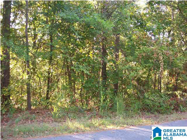0 Haven Circle, Unit 39 Riverside, AL 35135 - Photo 1 of 32