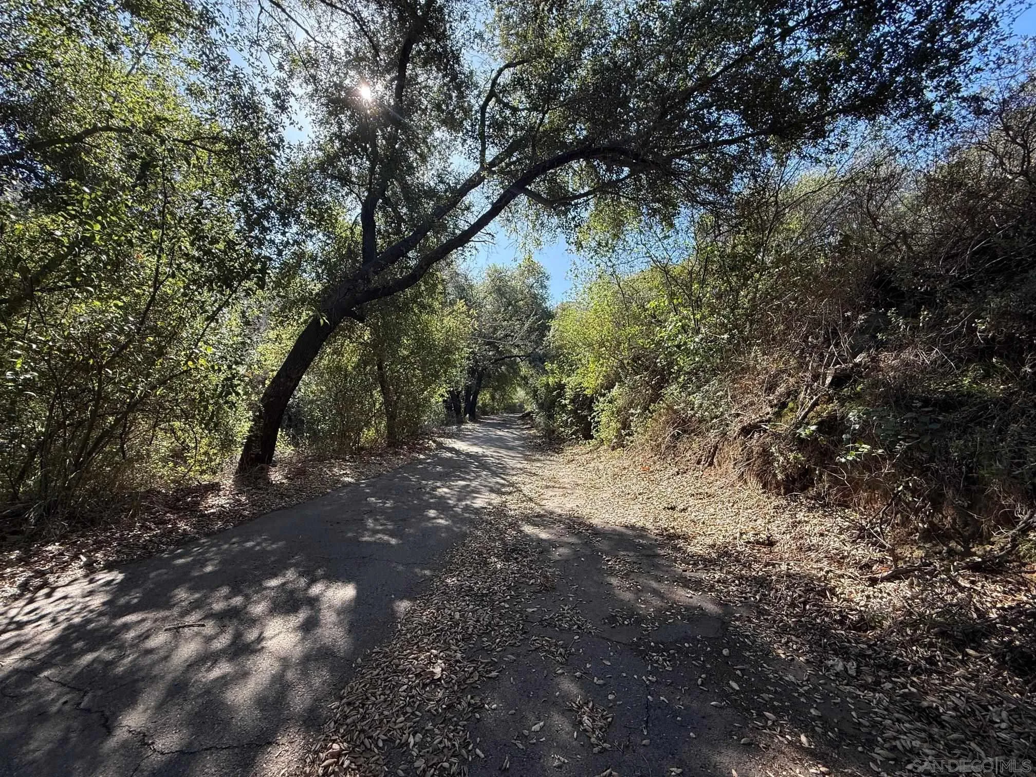 0 Wildcat Canyon Road, Unit 8 Lakeside, CA 92040 - Photo 7 of 10 a view of a forest with trees in the background
