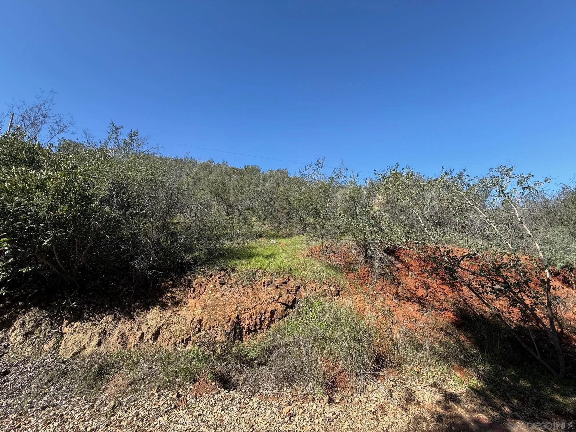0 Wildcat Canyon Road, Unit 8 Lakeside, CA 92040 - Photo 10 of 10 a view of a yard with a tree in the background