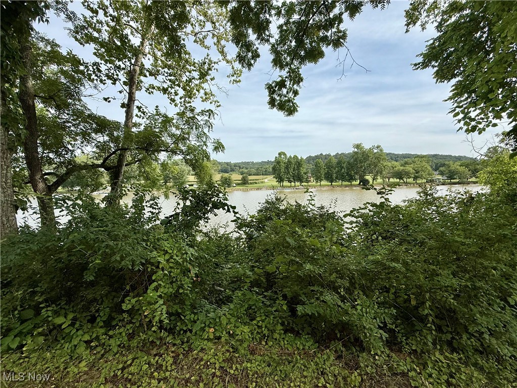 9105 Muskingum River Road Lowell, OH 45744 - Photo 8 of 15 Water view