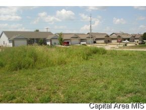 2909 Cindy Lane Springfield, IL 62711 - Photo 4 of 5