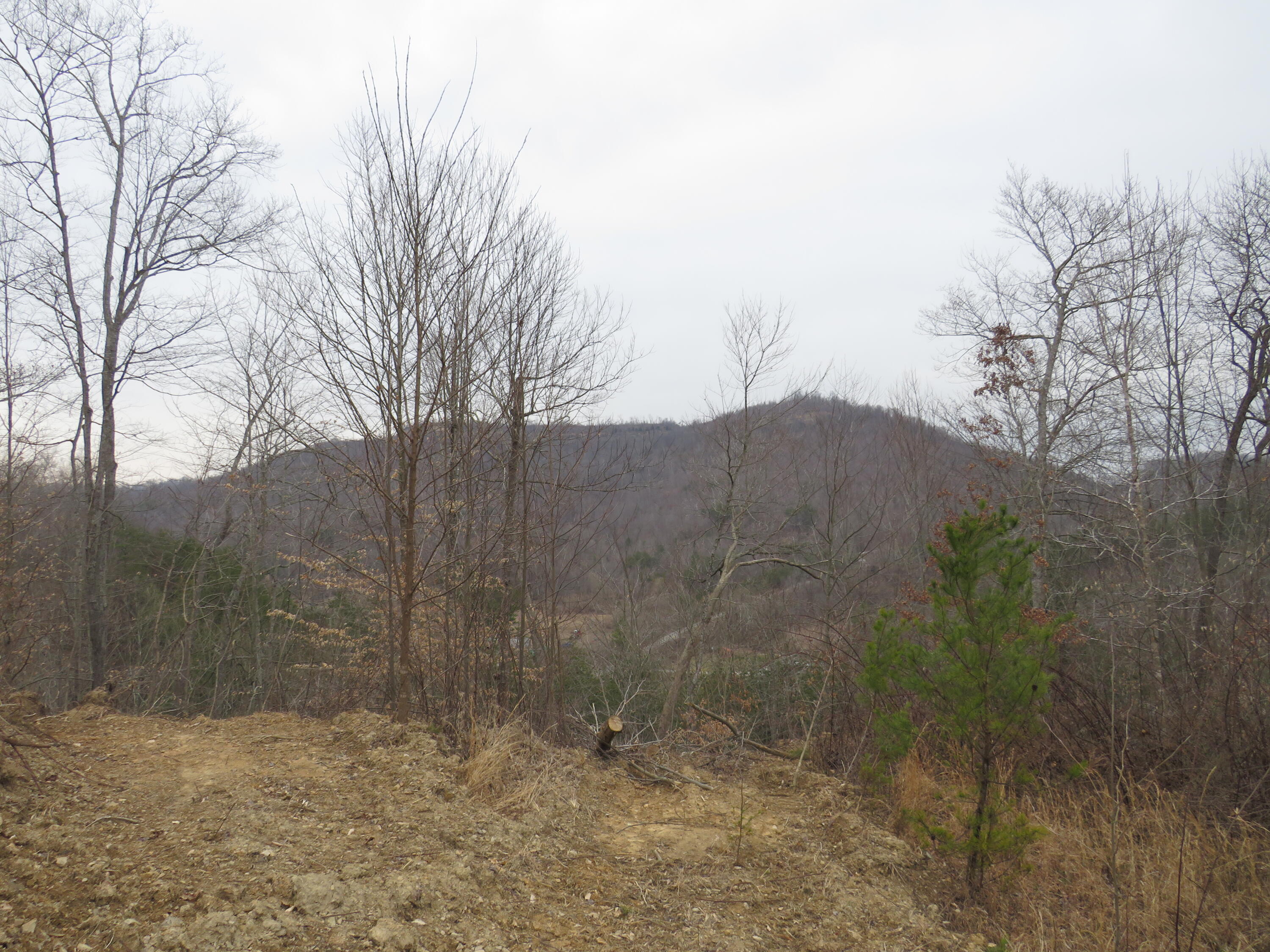 0 Catron Branch Road Bryants Store, KY 40921 - Photo 24 of 47 IMG_3639