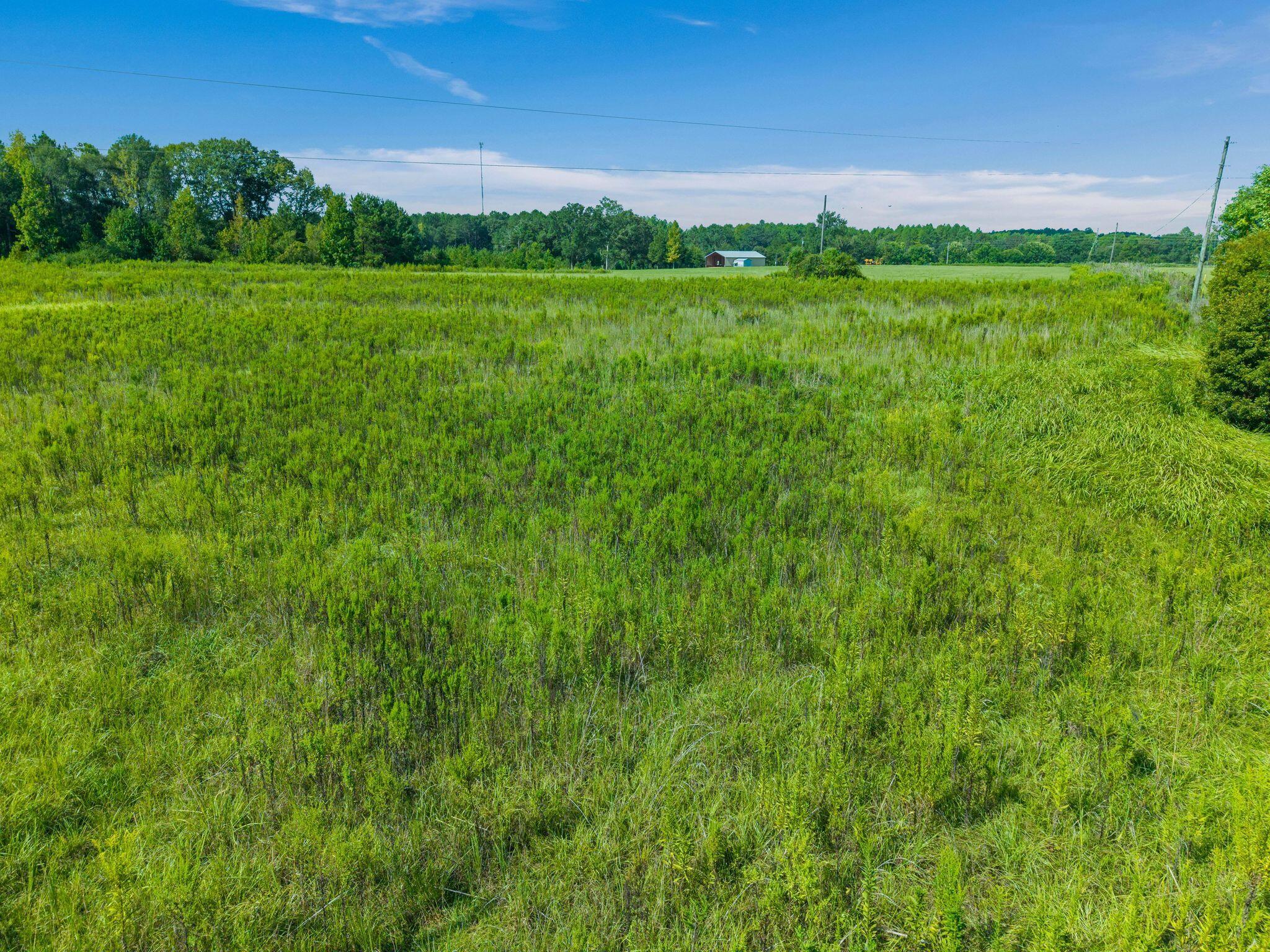 0 Sones Purvis, MS 39475 - Photo 8 of 12 Gallery Image 8