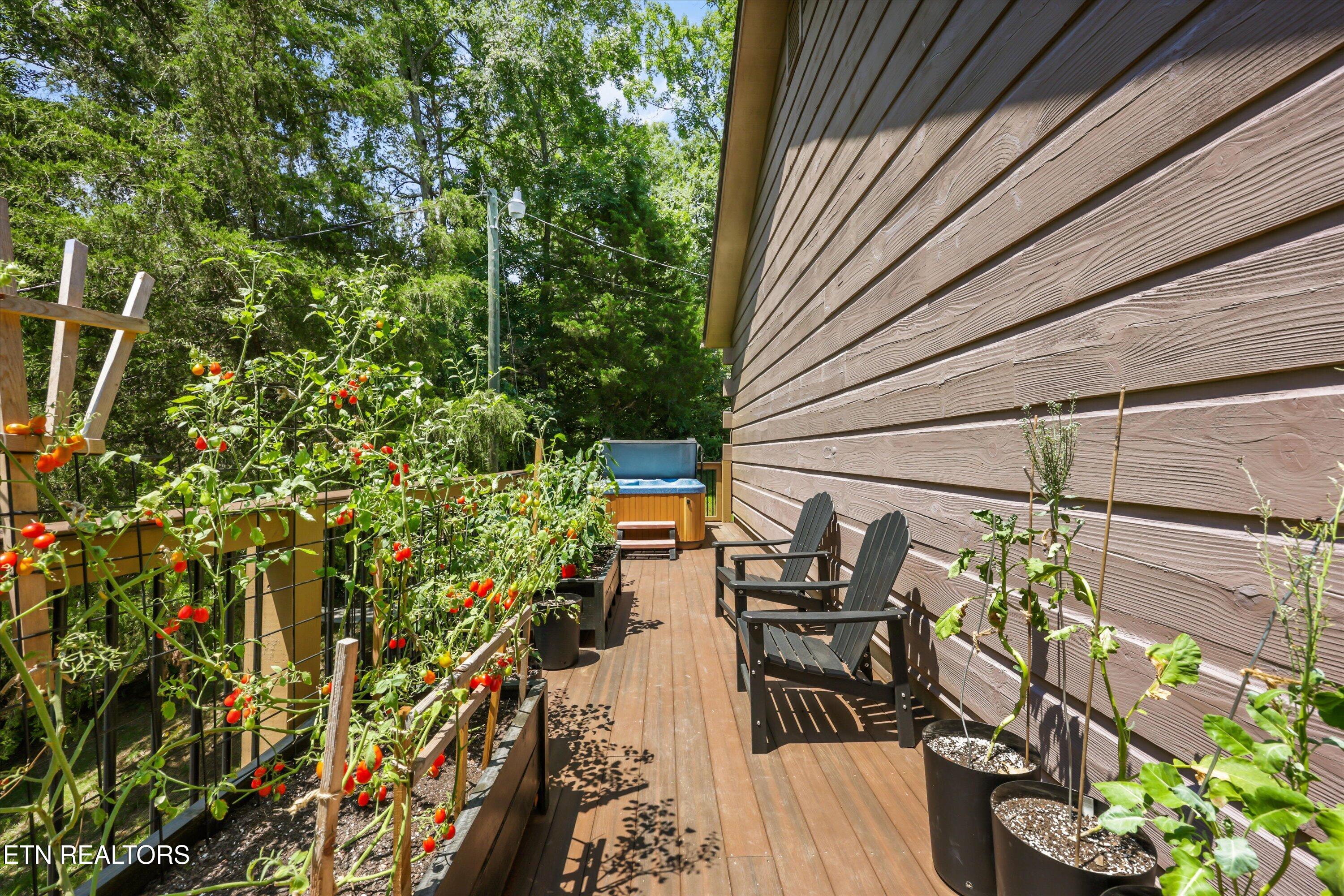 288 Panther Creek Road Sevierville, TN 37876 - Photo 23 of 45 25-288 Panther Creek Rd 11