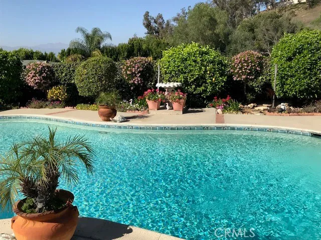 a view of a garden with a bench under an umbrella
