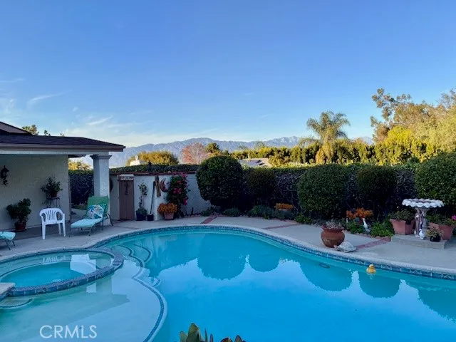 a view of a garden with flowers
