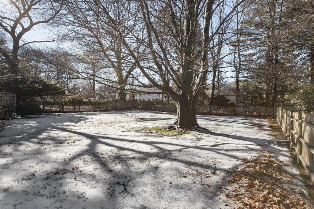 155 Paulson Road Newton, MA 02468 - Photo 30 of 33 a view of yard covered with snow in front of house