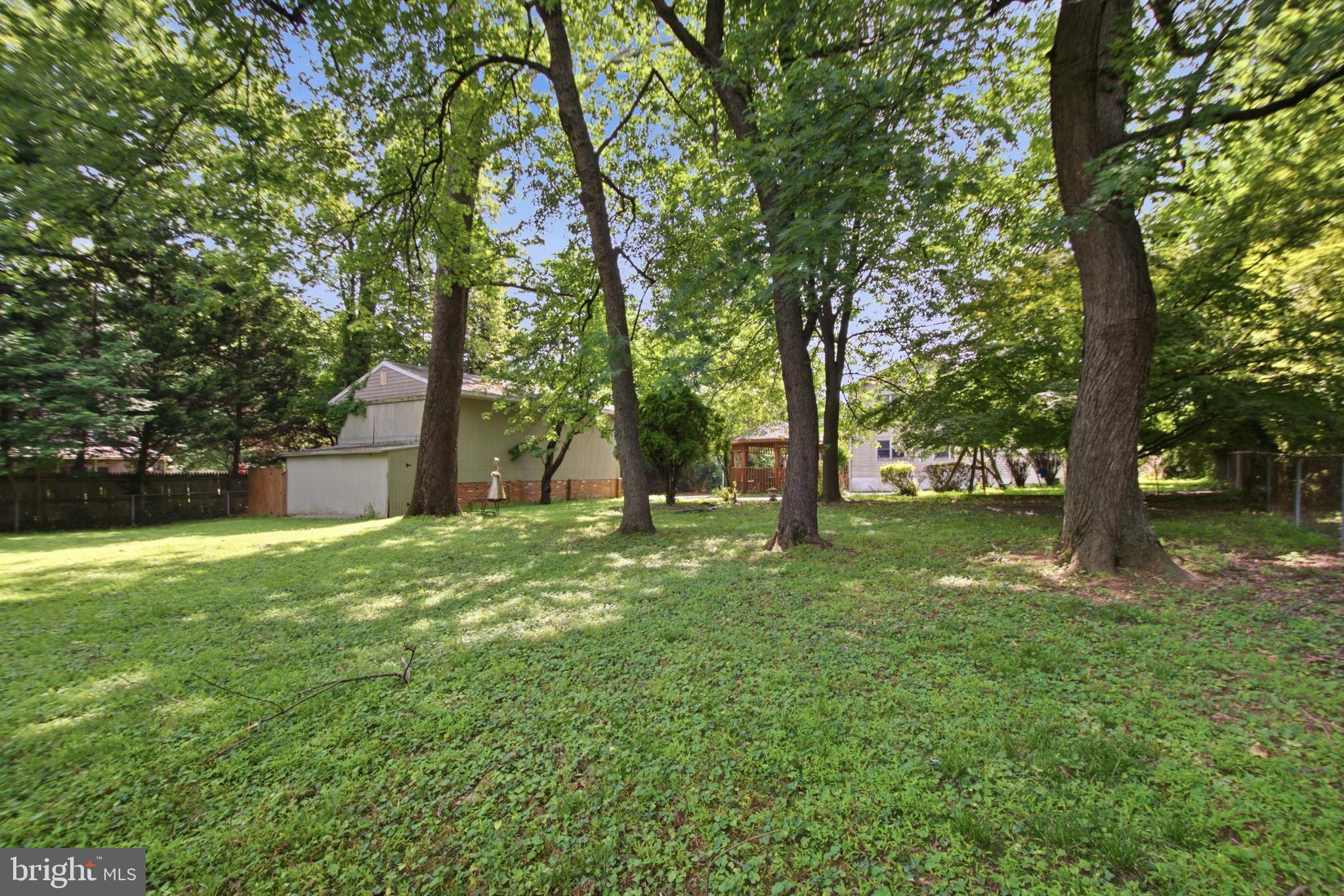 511 Malcolm Road Northwest Vienna, VA 22180 - Photo 11 of 16 a view of a trees in a yard