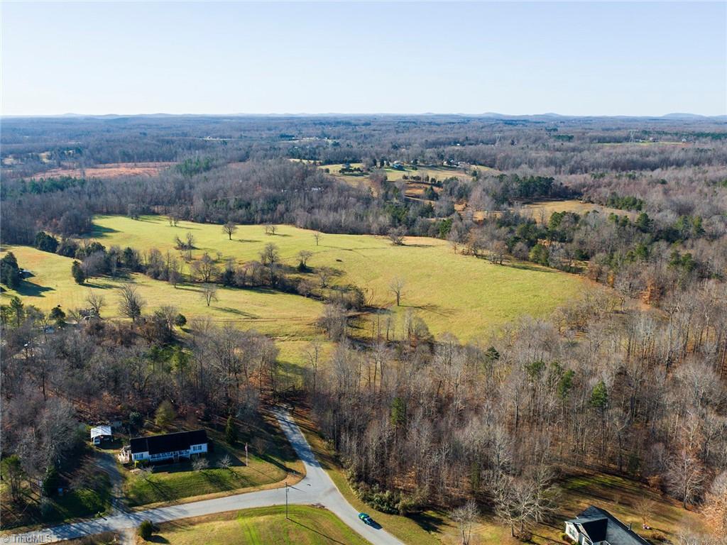 6184 Harold Meadow Road Climax, NC 27233 - Photo 4 of 6 Gallery Image 4