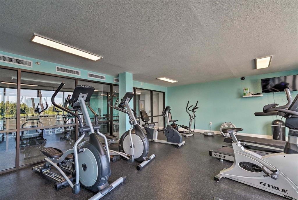 5915 Sea Ranch Drive, Unit 310 Hudson, FL 34667 - Photo 24 of 25 a view of a room with gym equipment