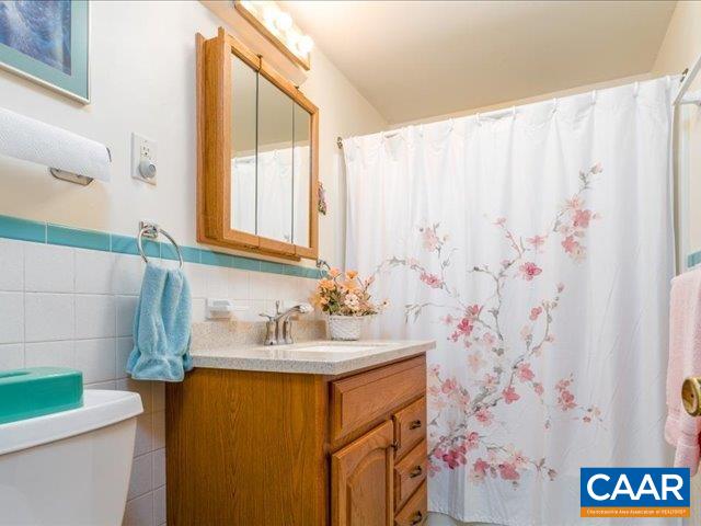 237 Westwood Road Stanardsville, VA 22973 - Photo 32 of 47 a bathroom with a sink and a mirror