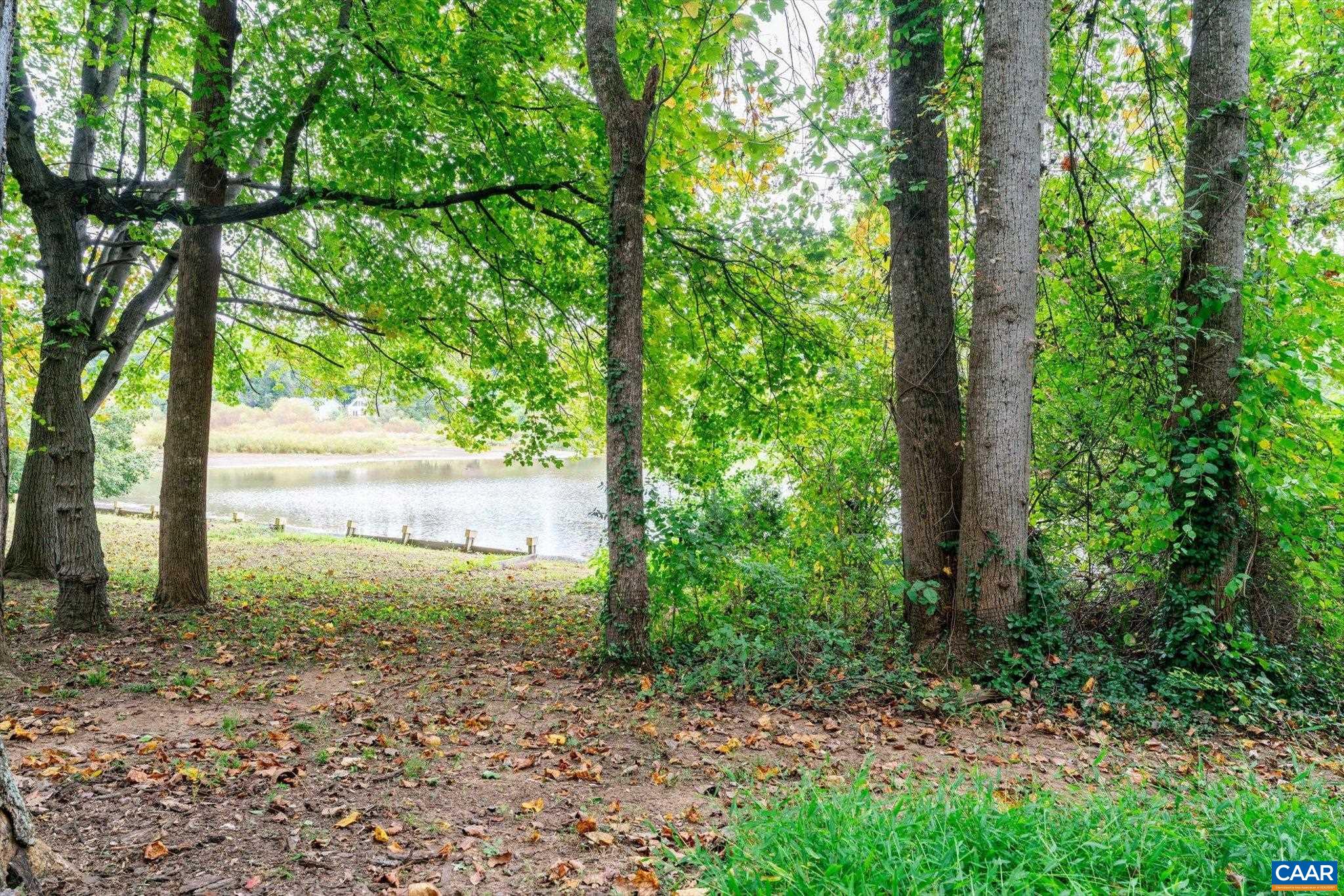 237 Westwood Road Stanardsville, VA 22973 - Photo 42 of 47 a view of a yard with plants and large trees