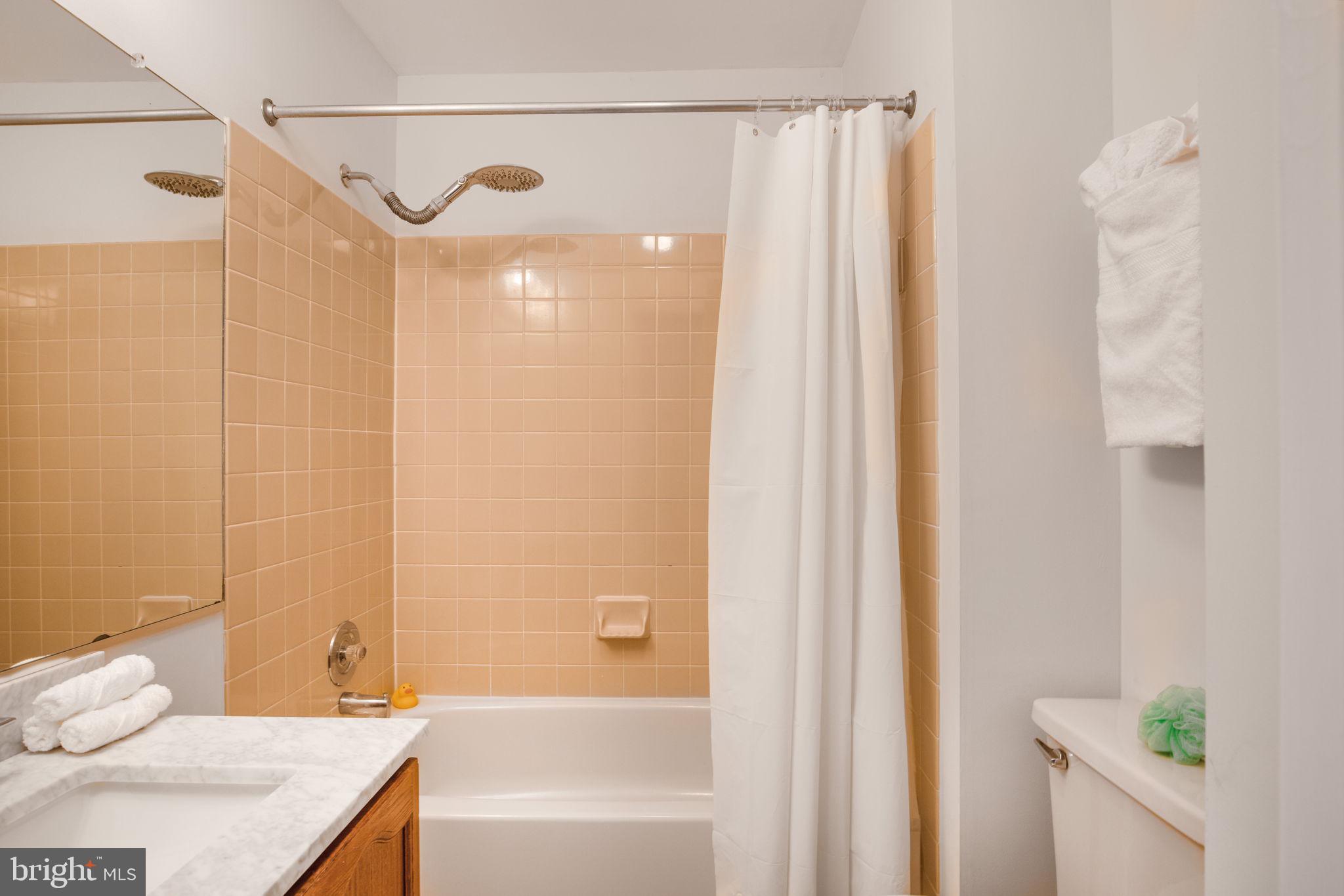 1113 Portner Road Alexandria, VA 22314 - Photo 31 of 52 Primary Bathroom