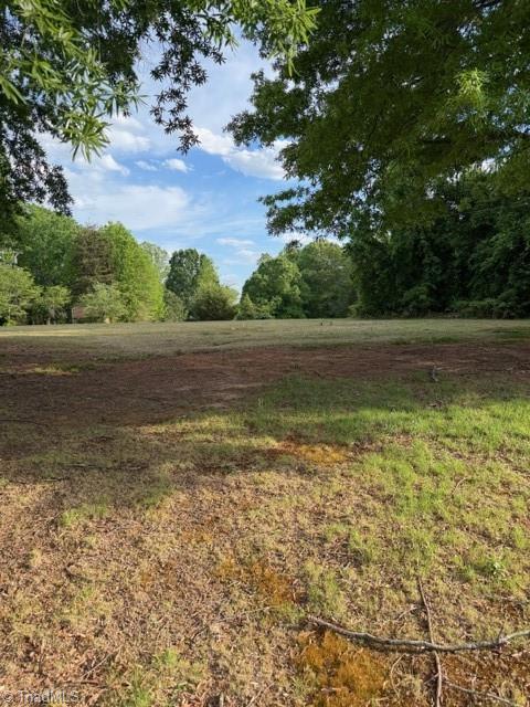 919 County Home Road Reidsville, NC 27320 - Photo 4 of 7 Nice LEVEL land