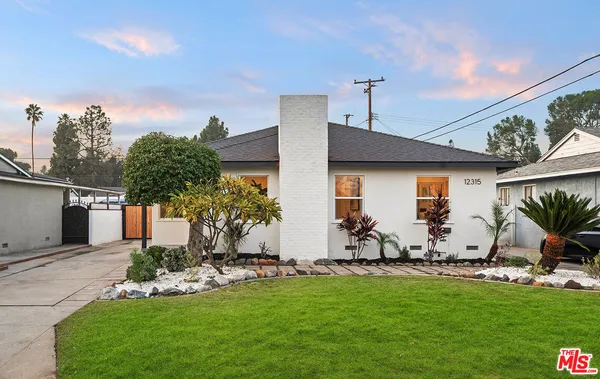 a view of a backyard with potted plants