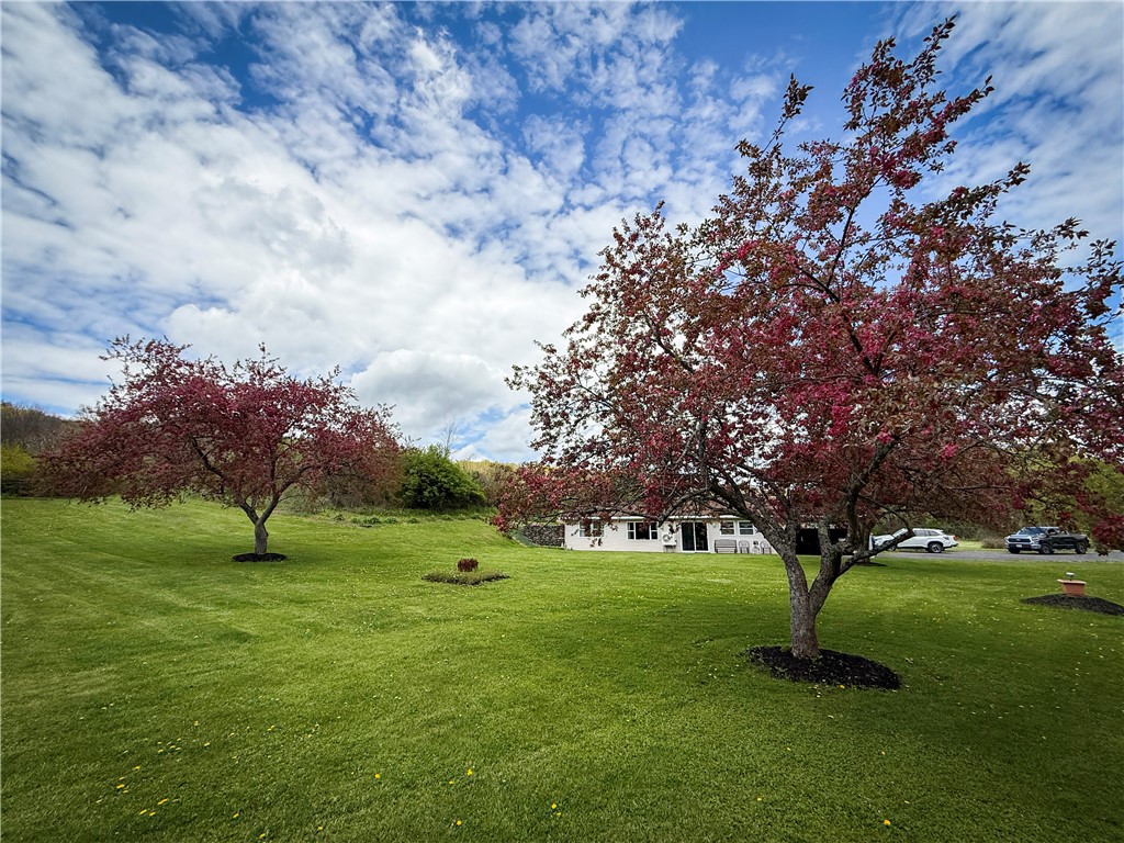 5360 Church Road Moravia, NY 13118 - Photo 35 of 50