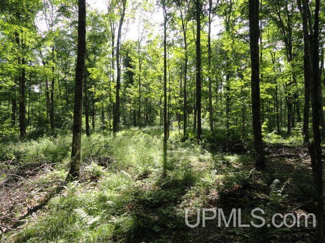 Tbd Norway Lake Road Sidnaw, MI 49961 - Photo 2 of 17