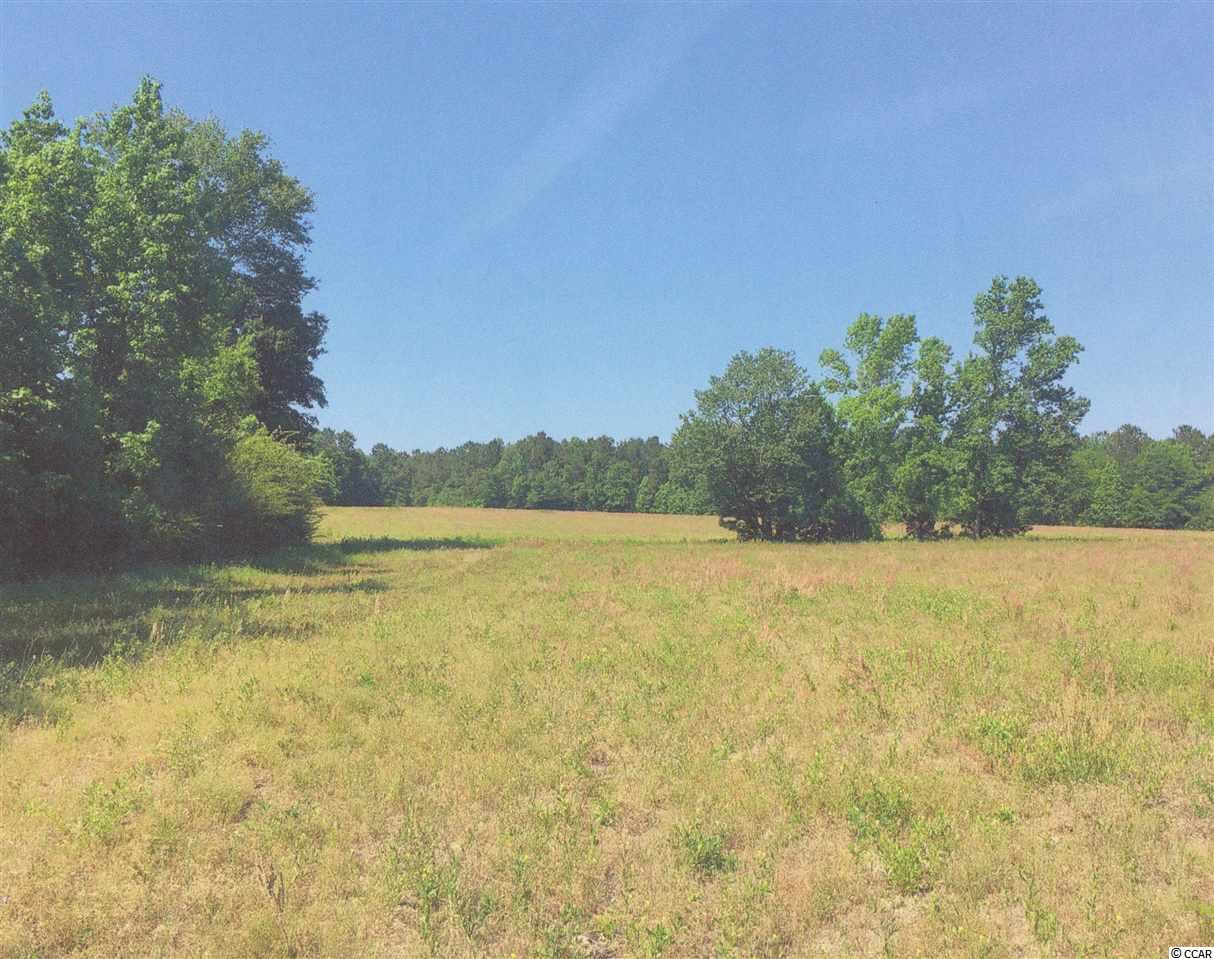 225-ac Cox Road Hemingway, SC 29554 - Photo 1 of 2