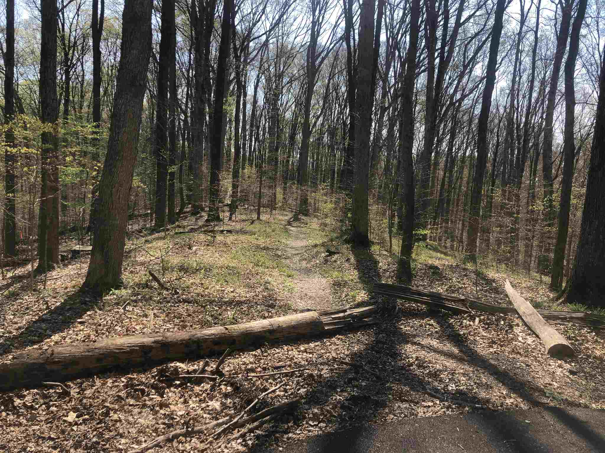 Tbd East James Road Bloomington, IN 47408 - Photo 1 of 1 Gallery Image 1