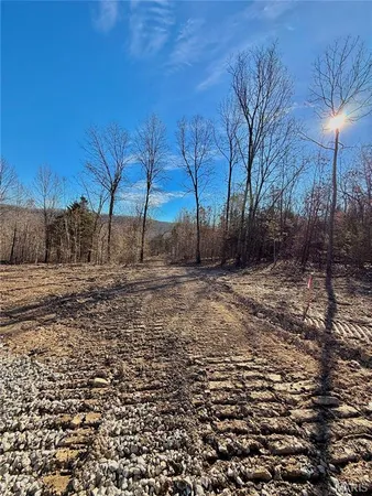 $168,300 | 4 Unincorporated Mo 65556, Richland, MO 65556