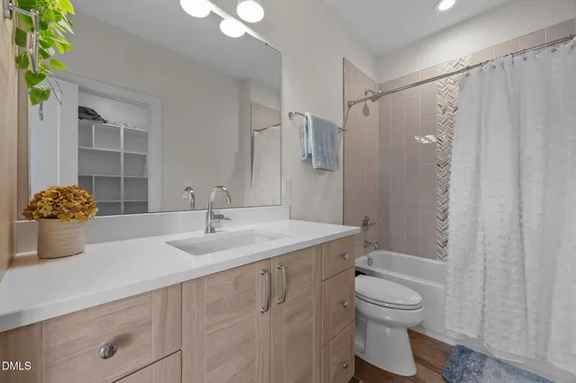 a bathroom with a sink a toilet and a bathtub