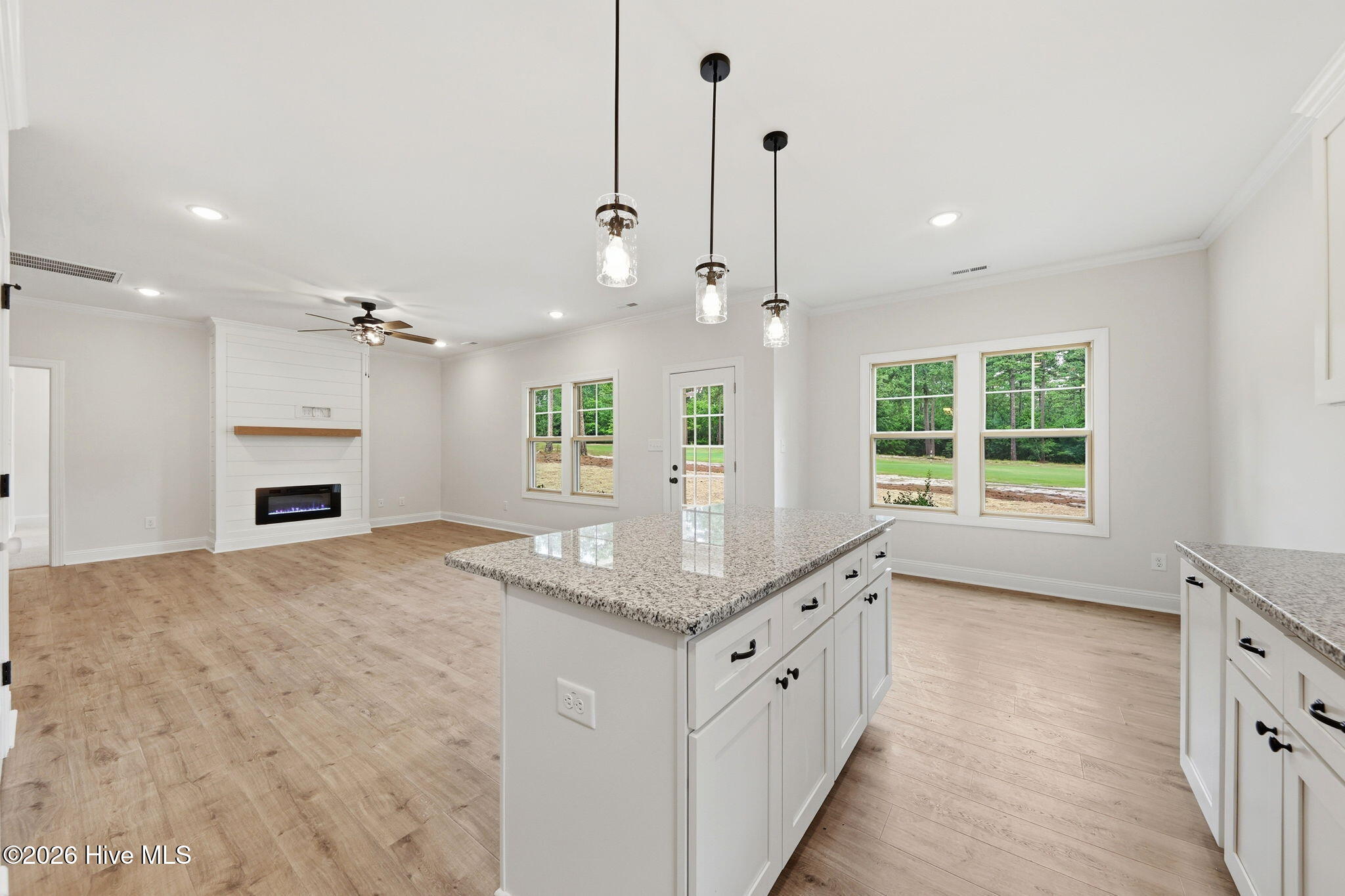 16651 Rabbit Run Court Wagram, NC 28396 - Photo 10 of 37