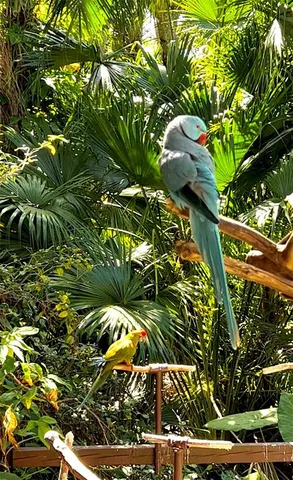 a view of ocean view