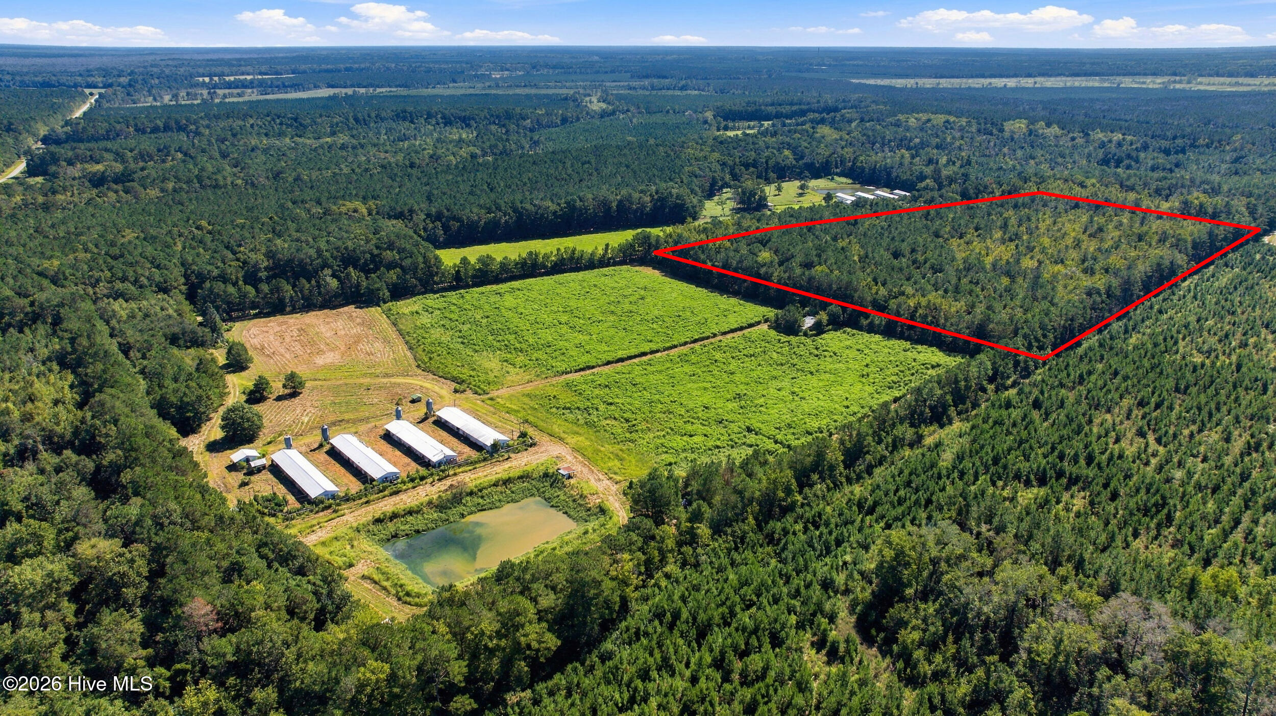 6655 Myrtle Head Road Northwest Ash, NC 28420 - Photo 17 of 24 6655_myrtle_head_rd_008