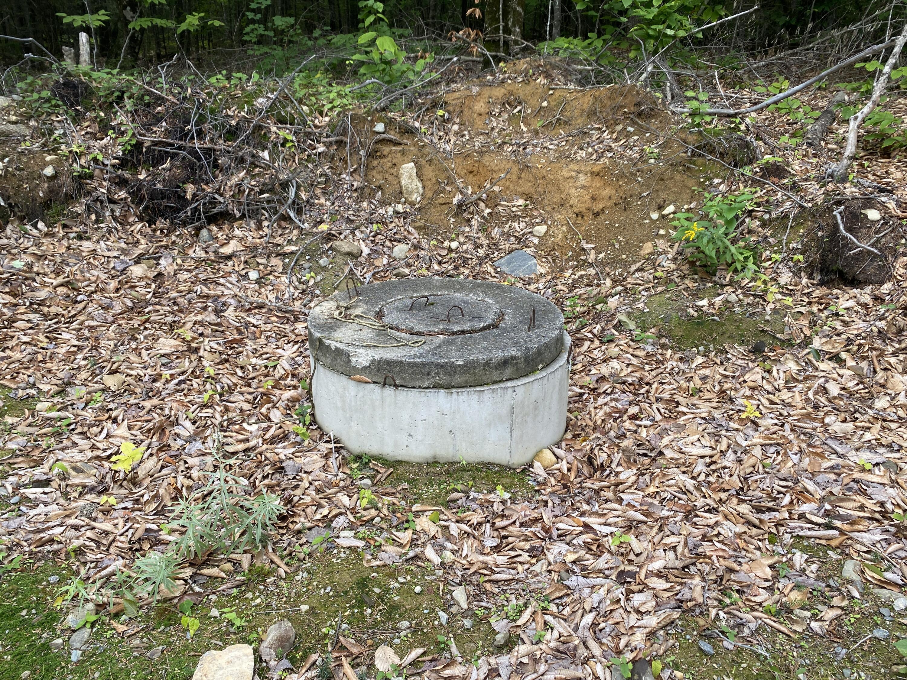 Lot 8 Whitetail Ridge Road Enfield, ME 04493 - Photo 5 of 11 Photo Sep 07, 12 54 38 PM