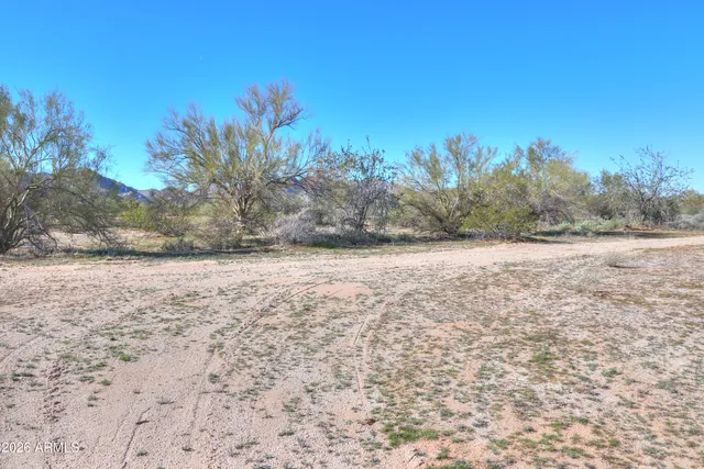 a view of a yard with a house