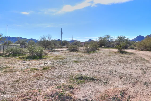 a view of a dry yard with trees in the background