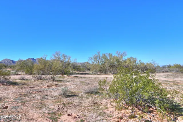 a view of a dry yard with trees