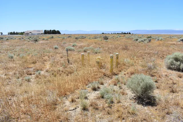 $54,000 | A12 And Vic 73rd Street West, Lancaster, CA 93536