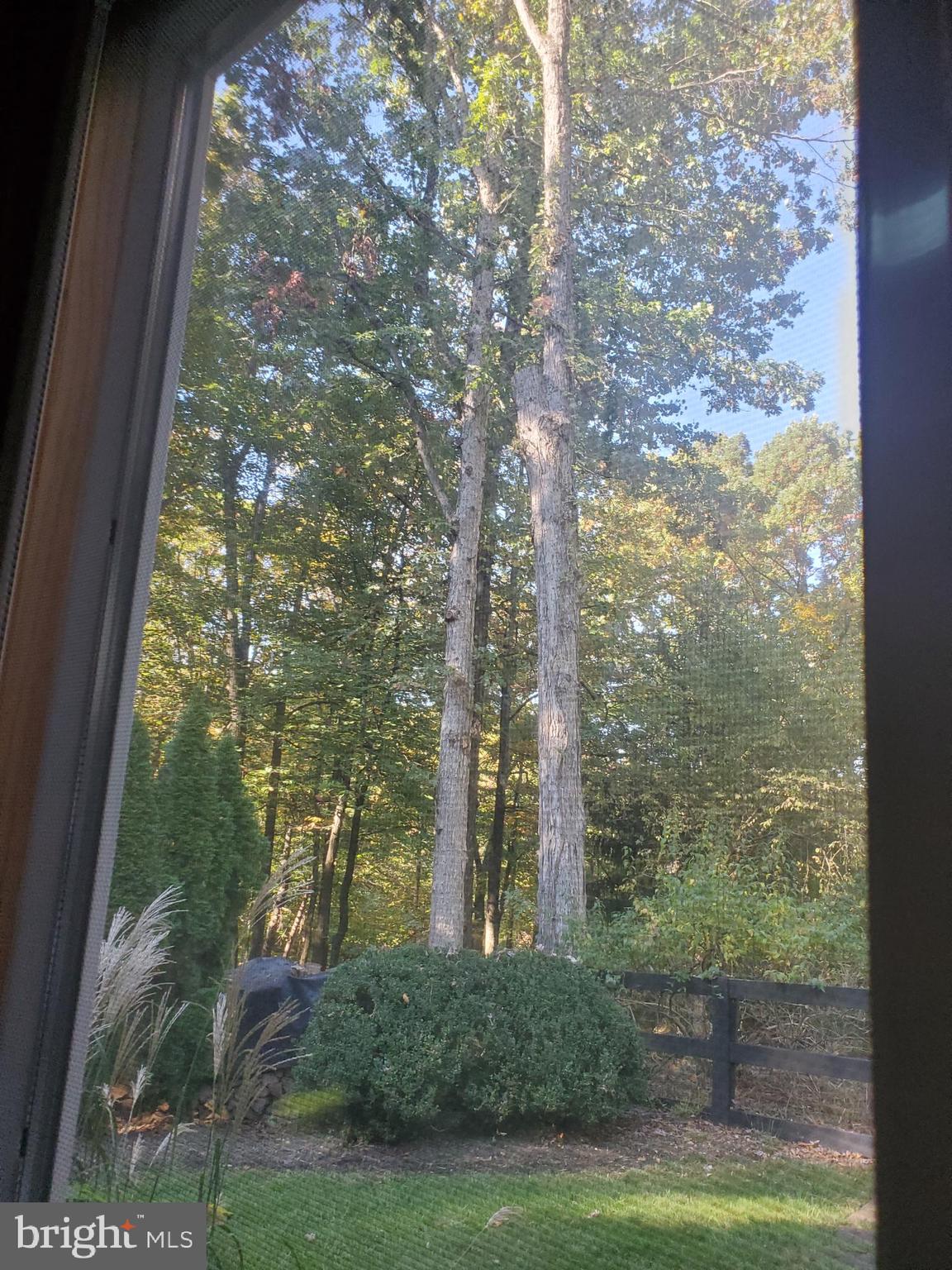 1107 Hoffmaster Road Knoxville, MD 21758 - Photo 45 of 111 View from solarium
