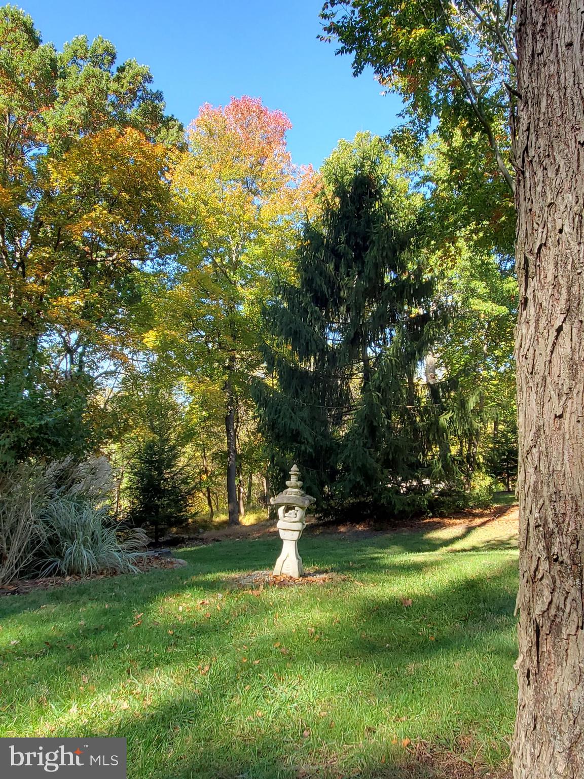 1107 Hoffmaster Road Knoxville, MD 21758 - Photo 50 of 111 Gallery Image 50