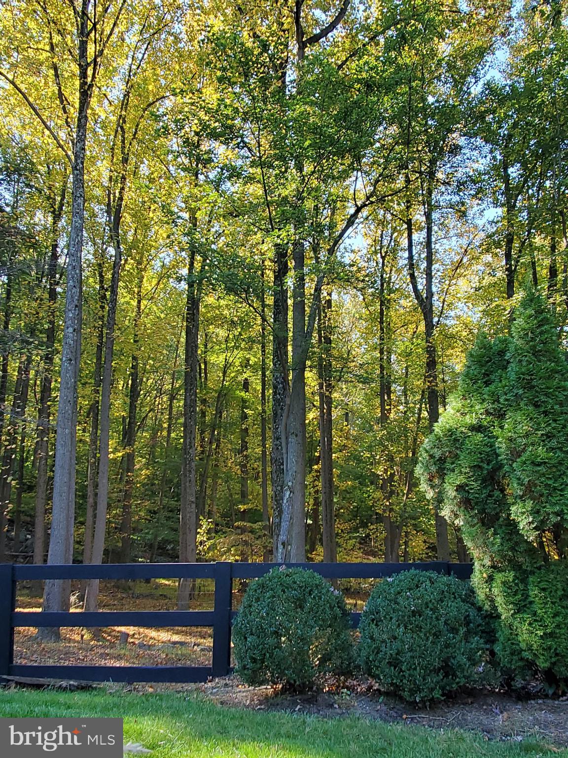 1107 Hoffmaster Road Knoxville, MD 21758 - Photo 51 of 111 Gallery Image 51