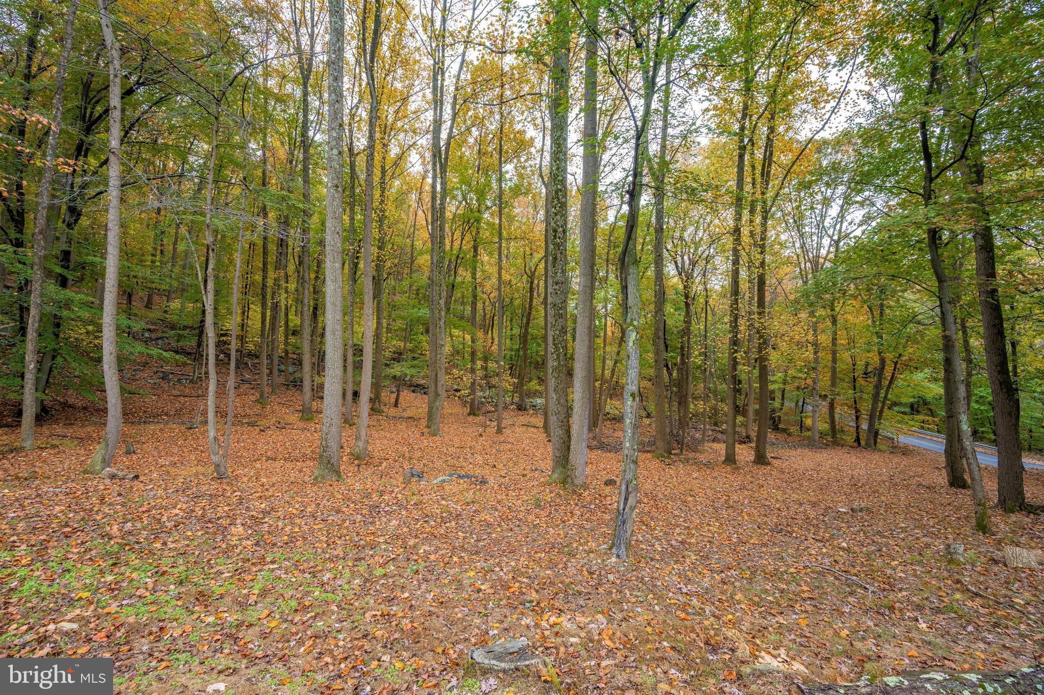 1107 Hoffmaster Road Knoxville, MD 21758 - Photo 66 of 111 Gallery Image 66