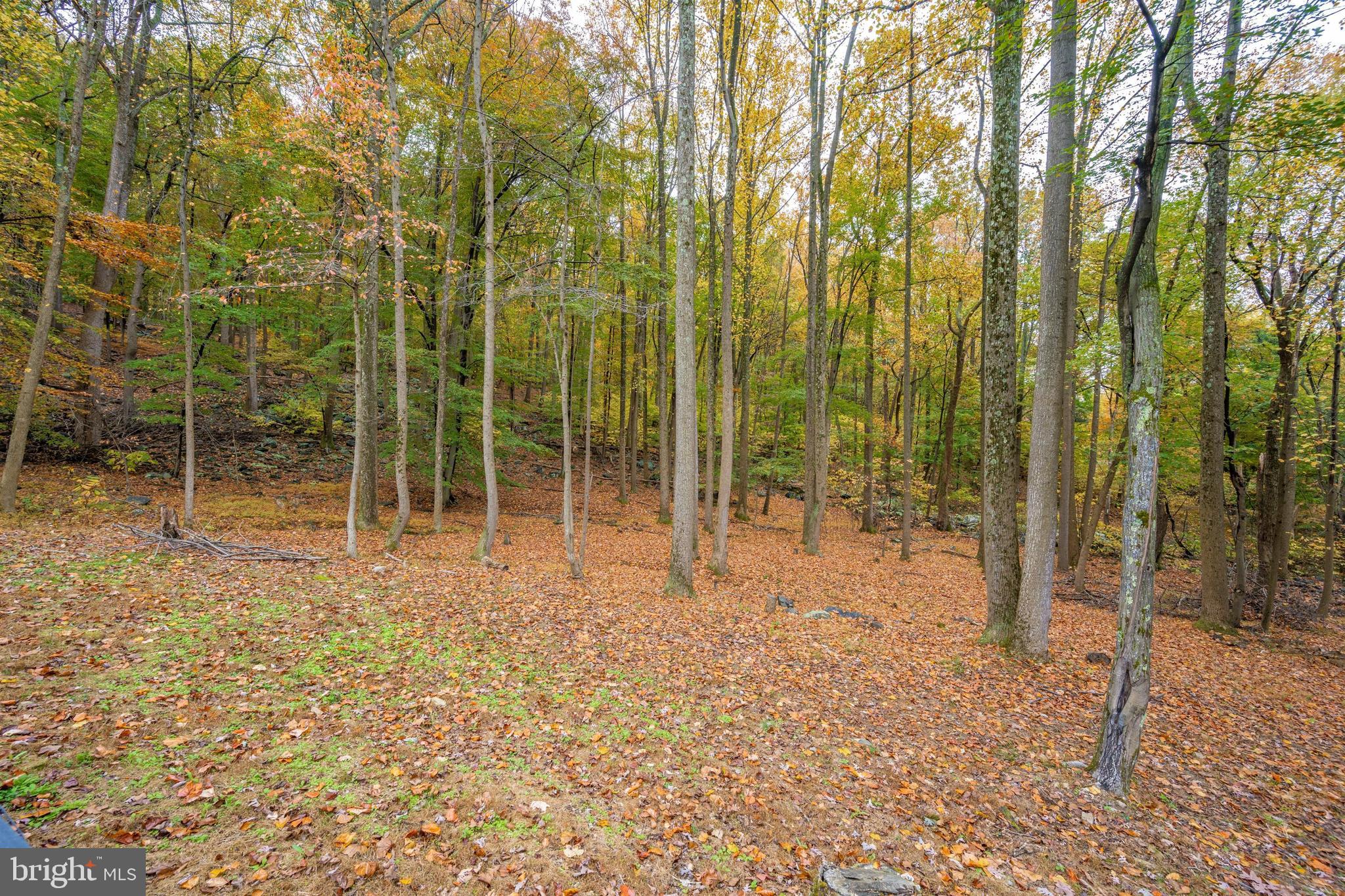 1107 Hoffmaster Road Knoxville, MD 21758 - Photo 67 of 111 Gallery Image 67