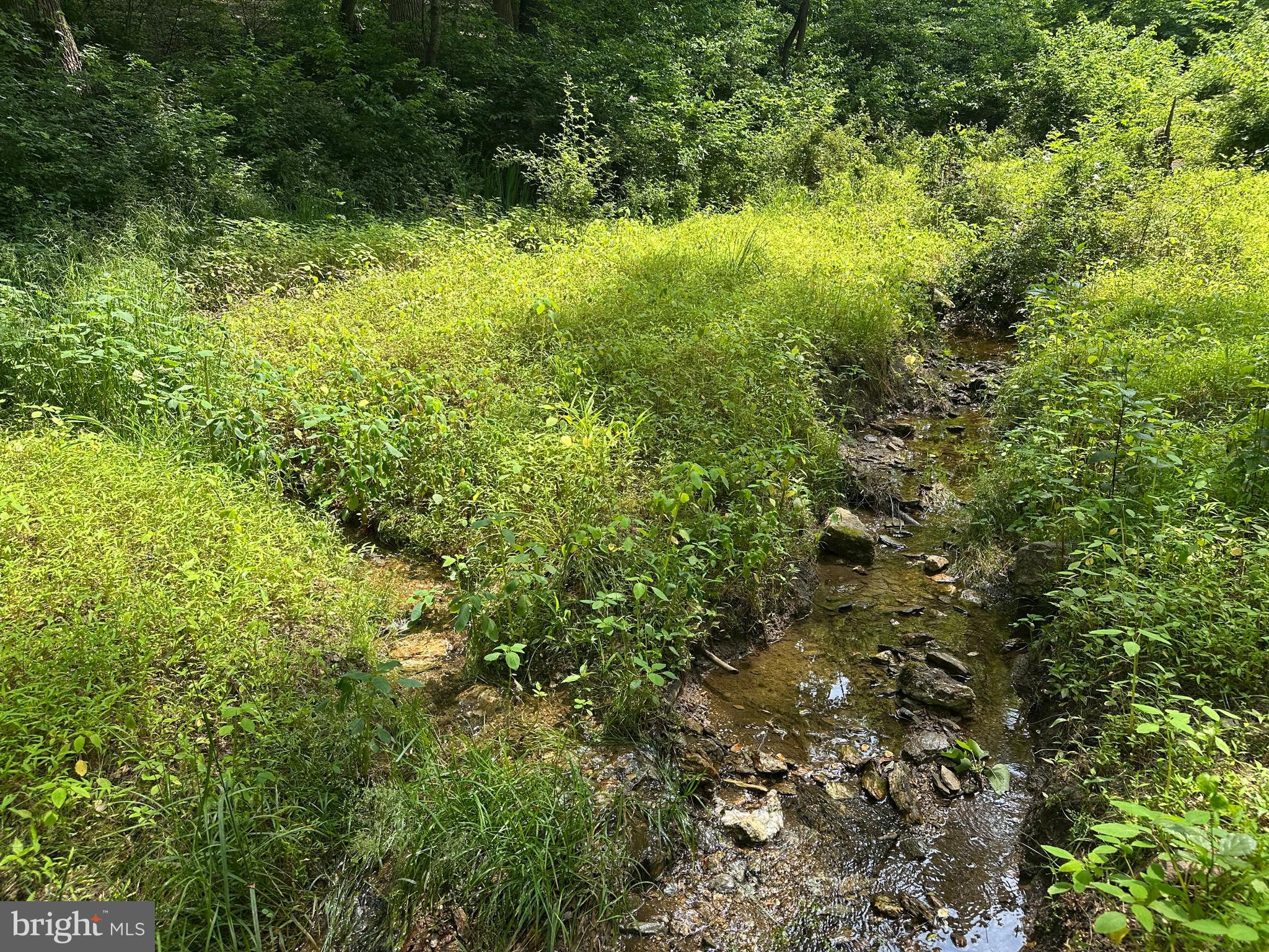 1418 Gallagherville Road Downingtown, PA 19335 - Photo 10 of 21 Spring Fed Stream